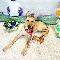 Thumbnail photo of WUGU #3