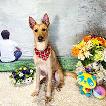 Thumbnail photo of WUGU #4