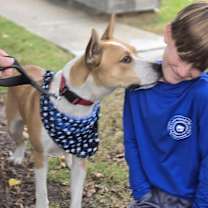 Thumbnail photo of Lance #3