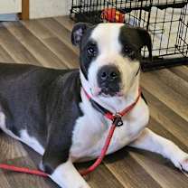 Thumbnail photo of Mickey JuM #1