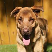 Thumbnail photo of Cole JR* #1