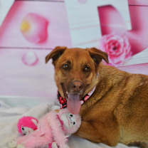 Thumbnail photo of Cole JR* #3