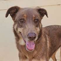 Thumbnail photo of Penelope JW #1