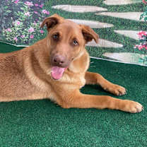 Thumbnail photo of Cole JR* #4