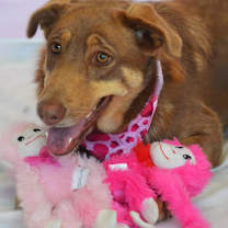 Thumbnail photo of Penelope JW #2