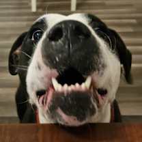 Thumbnail photo of Mickey JuM #3