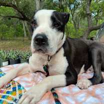 Thumbnail photo of Mickey JuM #2