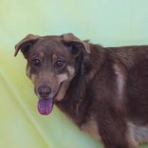 Thumbnail photo of Penelope JW #4