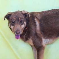 Thumbnail photo of Penelope JW #3