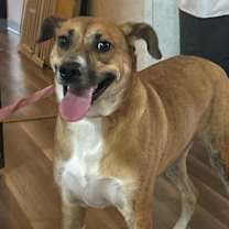 Thumbnail photo of Niabi JC #2