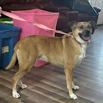 Thumbnail photo of Niabi JC #3