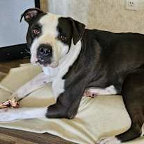 Thumbnail photo of Mickey JuM #4