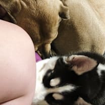 Thumbnail photo of Bettysue #4