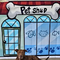 Thumbnail photo of Chocolate #4