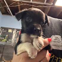 Thumbnail photo of South Bound #2