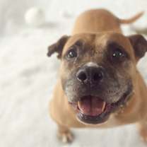 Thumbnail photo of Cake Batter #3