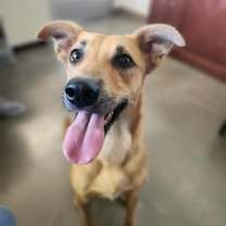 Thumbnail photo of Delilah #2