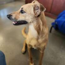 Thumbnail photo of Delilah #3