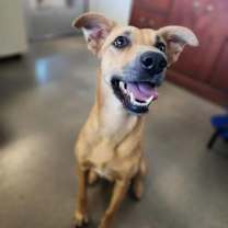 Thumbnail photo of Delilah #4