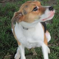 Thumbnail photo of Annie #3