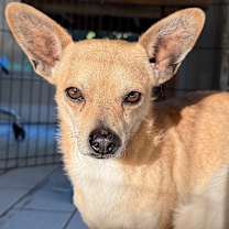 Thumbnail photo of Kevin #1