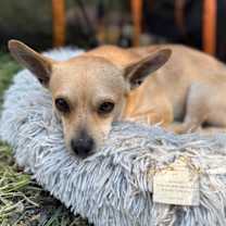 Thumbnail photo of Kevin #2