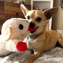 Thumbnail photo of Kevin #3