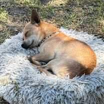 Thumbnail photo of Kevin #4