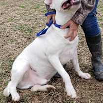 Thumbnail photo of Forrest #1