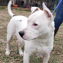 Thumbnail photo of Forrest #2