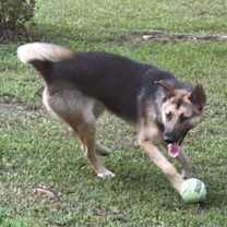 Thumbnail photo of SENECA AND PEETA #4