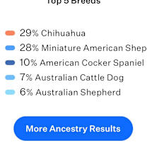 Thumbnail photo of Roquefort (Roqa) #2