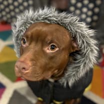 Thumbnail photo of Mocha #4