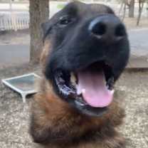 Thumbnail photo of Tye #3