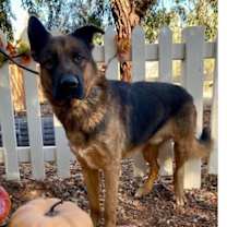 Thumbnail photo of Tye #1