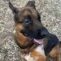 Thumbnail photo of Tye #4