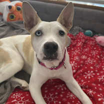 Thumbnail photo of Charlie #1