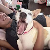 Thumbnail photo of Charlie #2