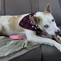 Thumbnail photo of Charlie #4