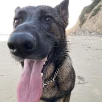 Thumbnail photo of Stella #2