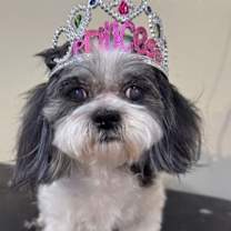 Thumbnail photo of Princess #1