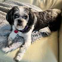 Thumbnail photo of Princess #2