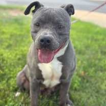 Thumbnail photo of Mabel #1