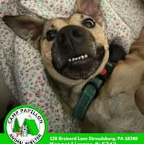 Thumbnail photo of Dante #1