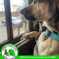 Thumbnail photo of Dante #4