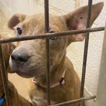 Thumbnail photo of Lyric #2