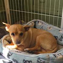 Thumbnail photo of Sweetheart #4