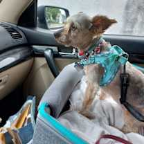 Thumbnail photo of Edith Ann - Fairfield #3