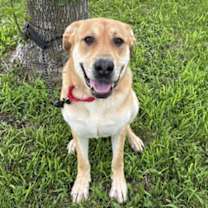 Thumbnail photo of Ashton #2