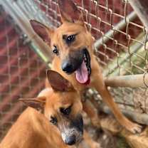 Thumbnail photo of Rain #3